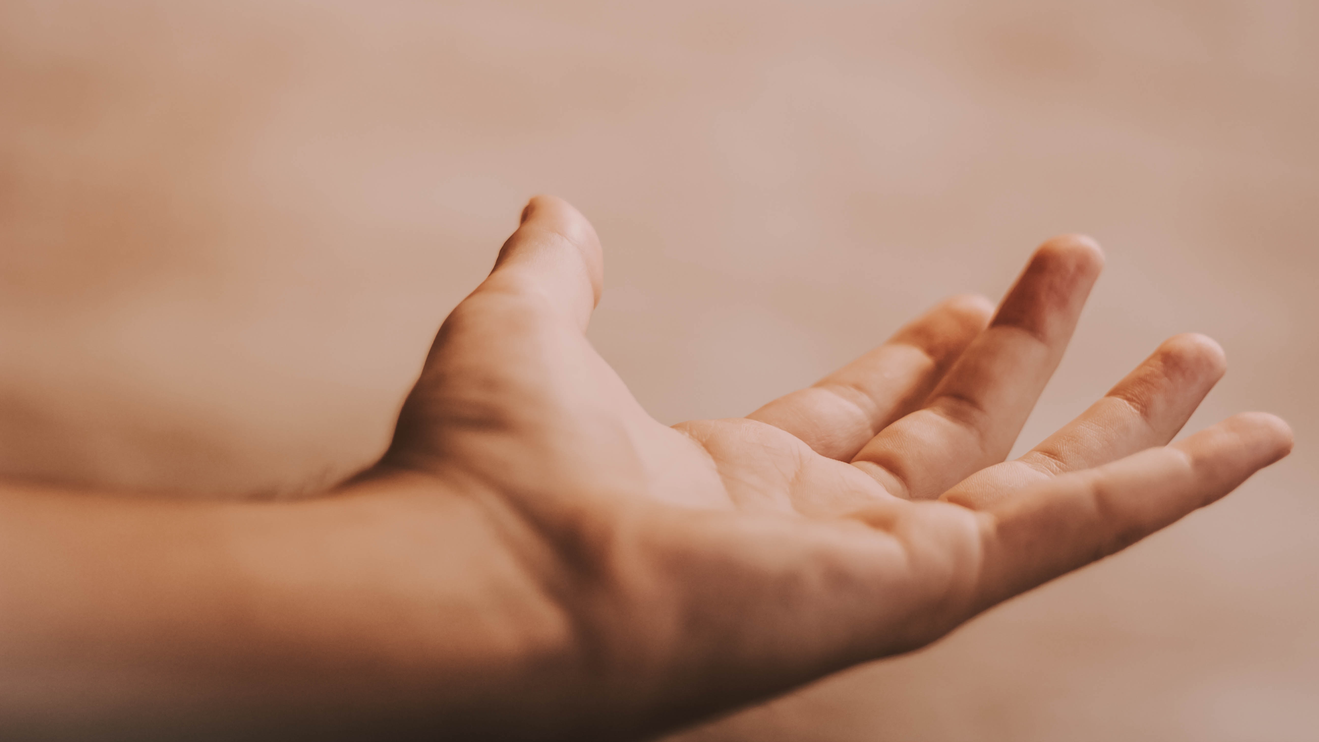 mat-reding-ozN7sC1aGsk-unsplash